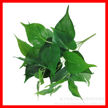 �������O���u�ľG�}�~�پGֲ�����b��^�z�~���҃�ֲ��廨���