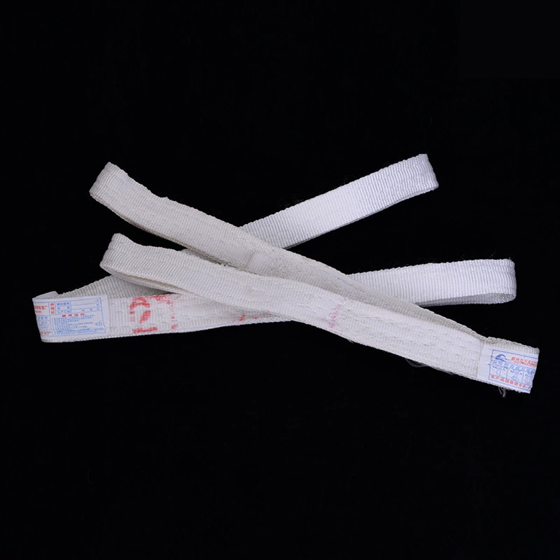 Слинг крана нейлона пряжки двойника подъемного стропа пояса гигантского кольца плоский поднимаясь 3 тонны 5 тонн 10 тонн веревочки кудели