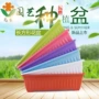 长方形大号塑料花卉花盆