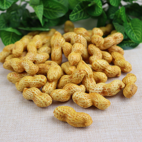 Wholesale of simulated fake dried fruits and vegetables Photography shooting background decoration Early education props model plastic peanuts