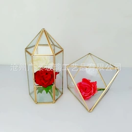 玻璃工艺品;微景观