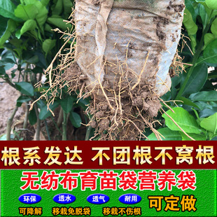 �F؛�o��������������������I�B�����籭�Nֲ��