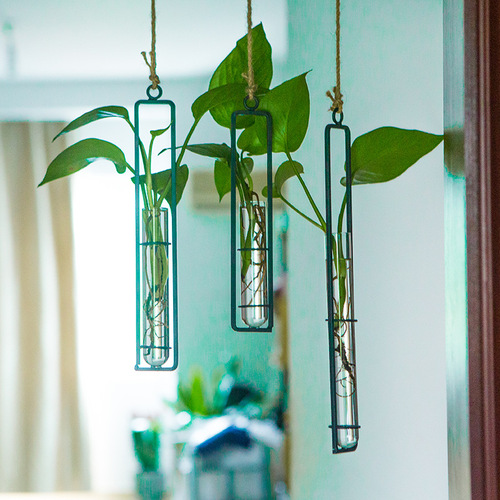 Creative iron glass vase hemp rope pendant living room wall hanging hydroponic pothos plant container hanging wall decoration