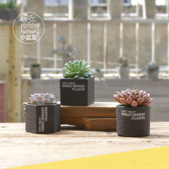 Plant succulent pot breathable black mini flower pot English Nordic ins style square cement small flower pot wholesale