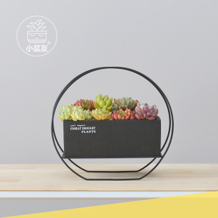 �F���r�Є����Fˇ����С���Զ���ֲ�������L���λ������b���S���l