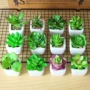 生产植物桌面仿真小盆景