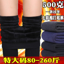 500克七彩棉打底裤特大码加绒加厚外穿女踩脚保暖裤厚大码女装