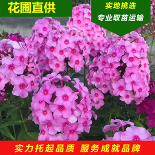 �������l��������ɫ�S���|���޸����������|������������֥�ѱ���