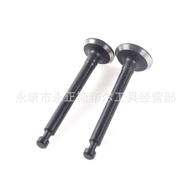 宗申S35小旋风气门（二个1付）