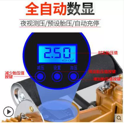 Exterminator 300W Car Air Hava nasosu