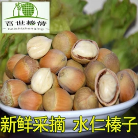 榛子;松子;其他果酱