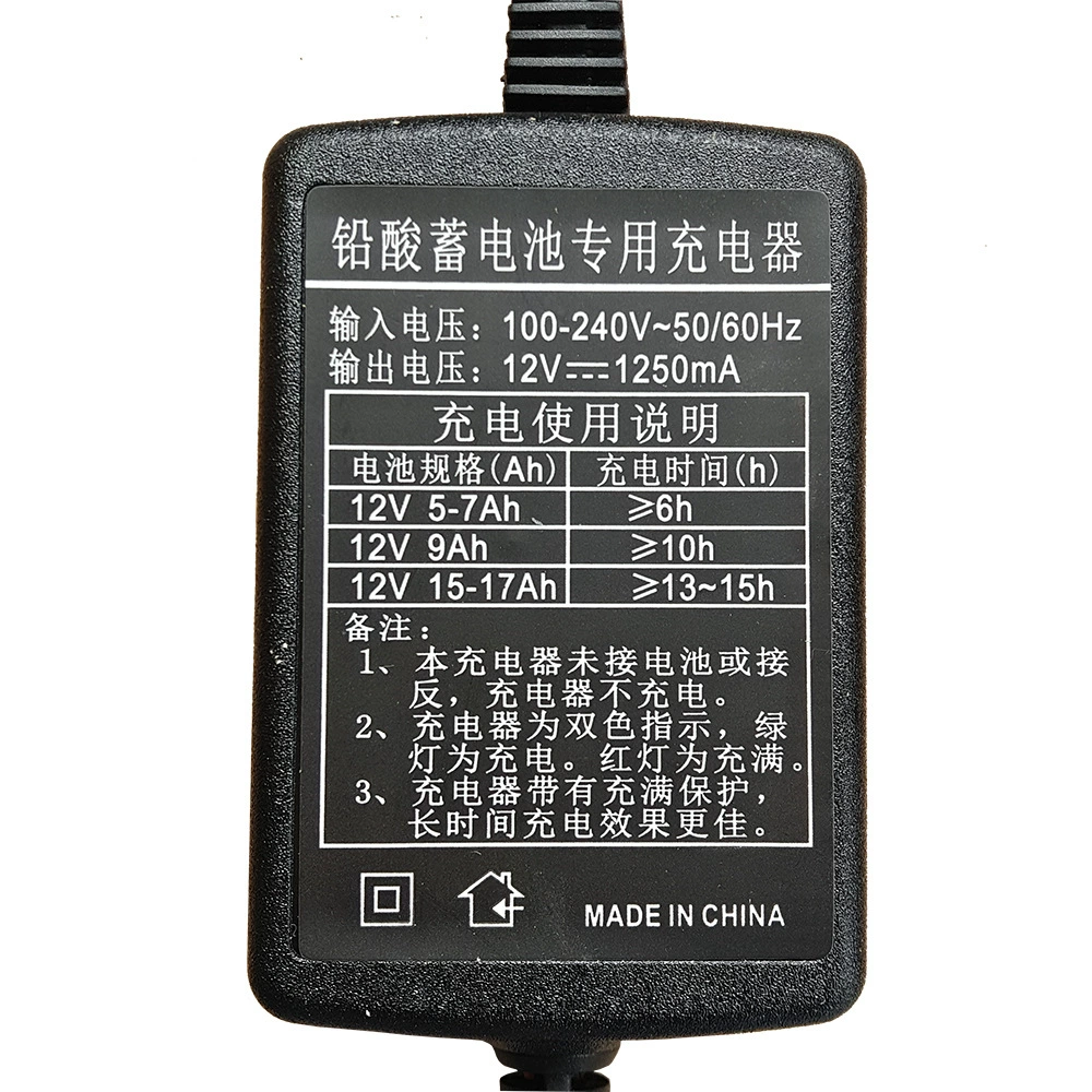 Электромобиль, умное зарядное устройство, аккумулятор rechargeable, 12В, 12В, 25А