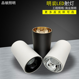 ���b���A��5W7W10W15W��ɫ���_�׾۹ⱳ������COB����컨���