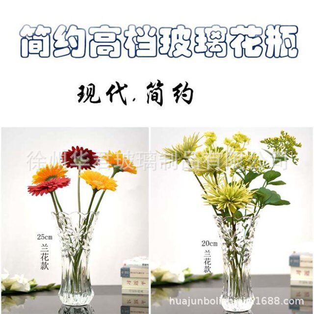 欧式花瓶家庭摆饰花瓶创意玻璃花瓶高档玻璃花瓶鲜花花瓶插花装饰
