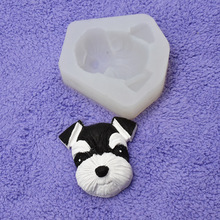 DIY決ģ  ѩ{ b ɿ޹ʯ pճzģ