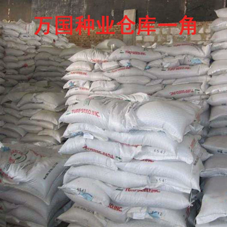 Можно использовать оптом и в розницу семена райграса, газонов, кормов, пустошей и других участков.