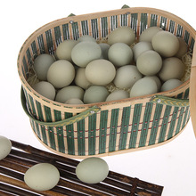 湖北農村綠殼土雞蛋批發山林放養綠殼雞蛋貨源充足420枚/箱