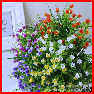 �řڻ�����c�������滨 ɽ�Ȱٺ�Ӳ�|�ָз����L��m���ٻ��Y��