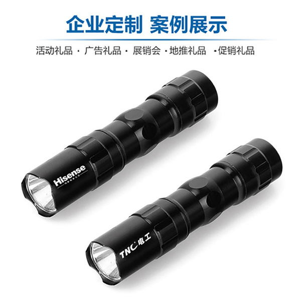 Small travel flashlight