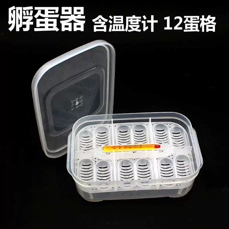 CM Palace-охраняющий змеиную ящерицу, ползающий питомец, инкубационный лоток для яиц, Подарочная коробка, инкубатор для ползания, инкубатор для яиц, 12-яичное яйцо черепахи