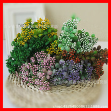 �S�����l����ֲ�������m���ӷ������m�ݾG���b�������СҰ��