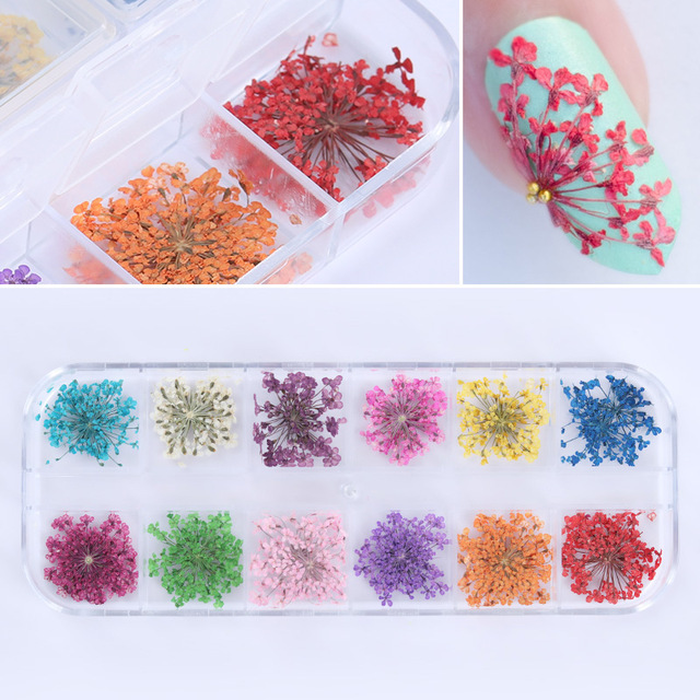 nail decoration for manicure
