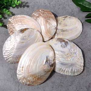 Shell Pearl Gushels качели на отдел