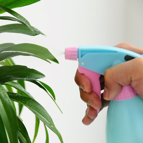 Bag garden watering small watering bottle succulent plant watering bottle household hand-pressure spray bottle