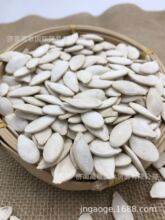 供应出口雪白南瓜子White pumpkin seeds，质量保证 常年供应