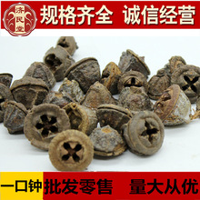 （一口钟） 一口钟红嗽叭花--500克初级农产品--中华药都散装大货