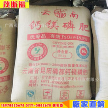 �V���F؛ �}�V�׷� ���� ï˹���S�� ���l����