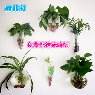 Home accessories hanging wall hanging glass vase multi-purpose transparent glass hydroponic vase small fish tank