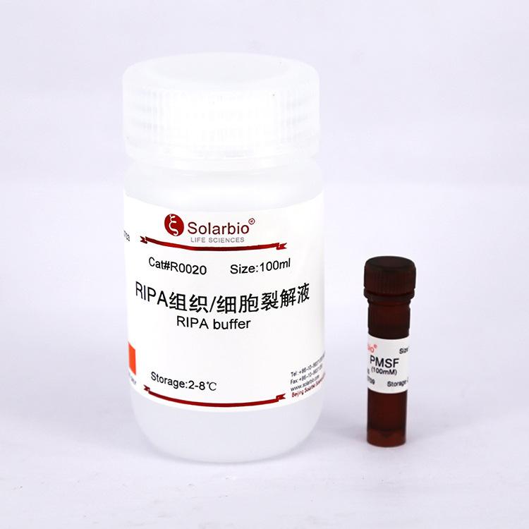 R0020普通RIPA裂解液组织裂解细胞裂解RIPA buffer蛋白提取试剂盒