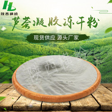 芦荟凝胶冻干粉  100g/袋小包装芦荟冻干粉   芦荟提取物