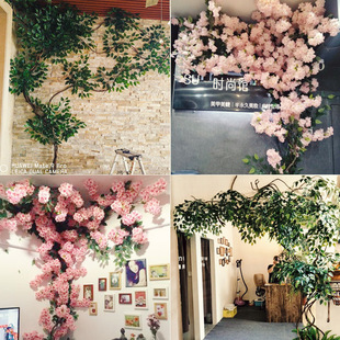 ����ֲ��ѻ����ٗl��c�쾰�Gֲ�ݘ��ټ٘�G�~�����҃��bܵ�