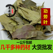 ʮ�󹦄��~��ș���۹��~һ������۹��~ ؈���̰˽Ǵ�����̰��]