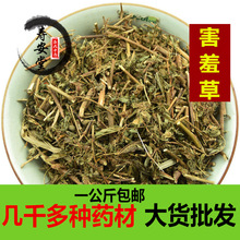 ���߲���ș�����ڼt�Ǻ��߲ݸ�Ʒ ���߲� ���߲ݸ�Ʒһ������]