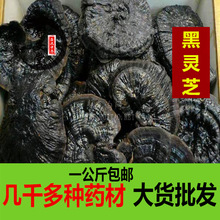 黑灵芝中药材批发灵芝东北野生黑灵芝正品灵芝天然灵芝一公斤包邮