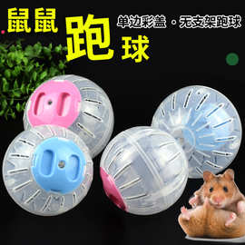 彩盖跑球小宠仓鼠玩具宠物用品透明滚轮跑步机水晶运动转轮风车