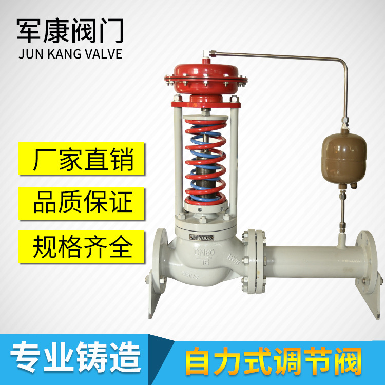 自力式调节阀ZZYP-25C 天然气燃气液化气体用自力式压力调节阀