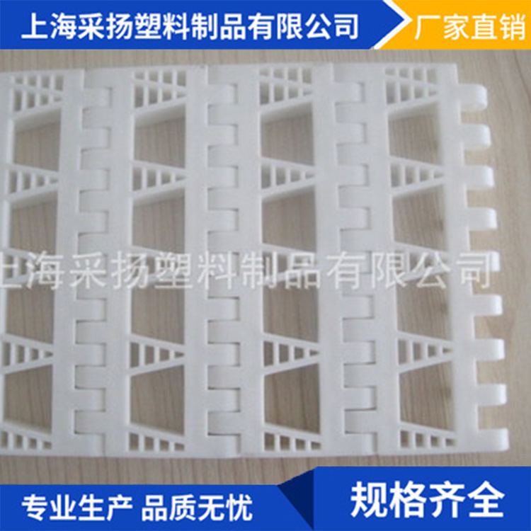 厂家 OPB系列大孔网带，大开孔率塑料网带 塑料网带