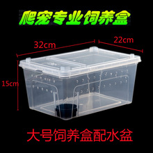 宠物饲养盒带透气孔活体爬虫箱蜘蛛蝎子守宫蛇蜥蜴角蛙乌龟饲养箱