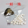 001 Supply Beihai Pearl Beckham Vacuum Package Pearl Small Claus One Musch One Foreign Trade Beckham