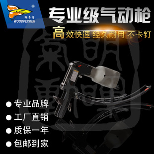[����] ��ľ�B  t4000���ɊA�a��  ɳ�l�A�a�� �a�И� �S��ֱ�N