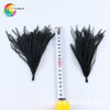 温册 Feather manufacturers currently sell color ostrich, hairy silk feathers, clothing clothing jewelry accessories 100 roots