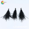 温册 Feather manufacturers currently sell color ostrich, hairy silk feathers, clothing clothing jewelry accessories 100 roots