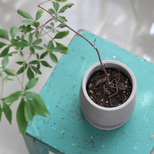 Round cement flower pot with personality, simple and creative succulent plant pot, elegant Zen style, Chinese style with tray