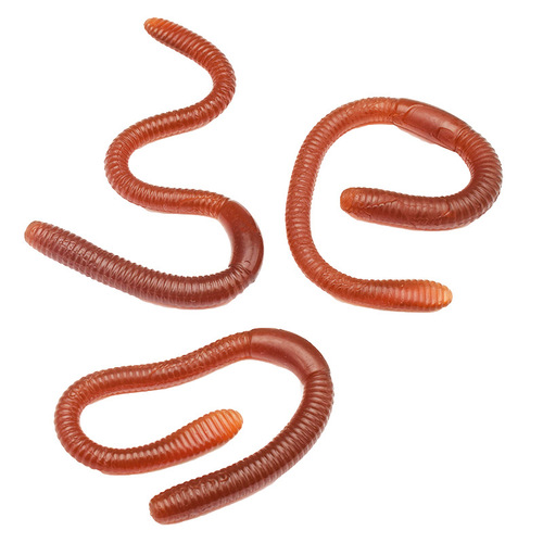 Simulated earthworms, soft rubber earthworms, prop maggots, pranks, startling people, street stall toys wholesale