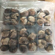 ɽ�|���l�l�ͺ����^��Ƥ��Ƥ�ڴ���500g ���]�����b