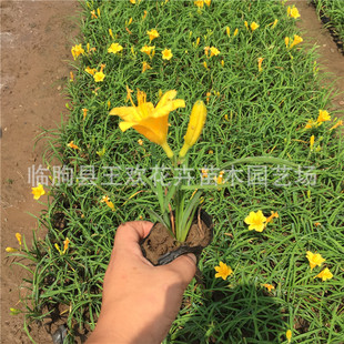 ��������� �����޸��������l��������ݷN�� ����� ���\���